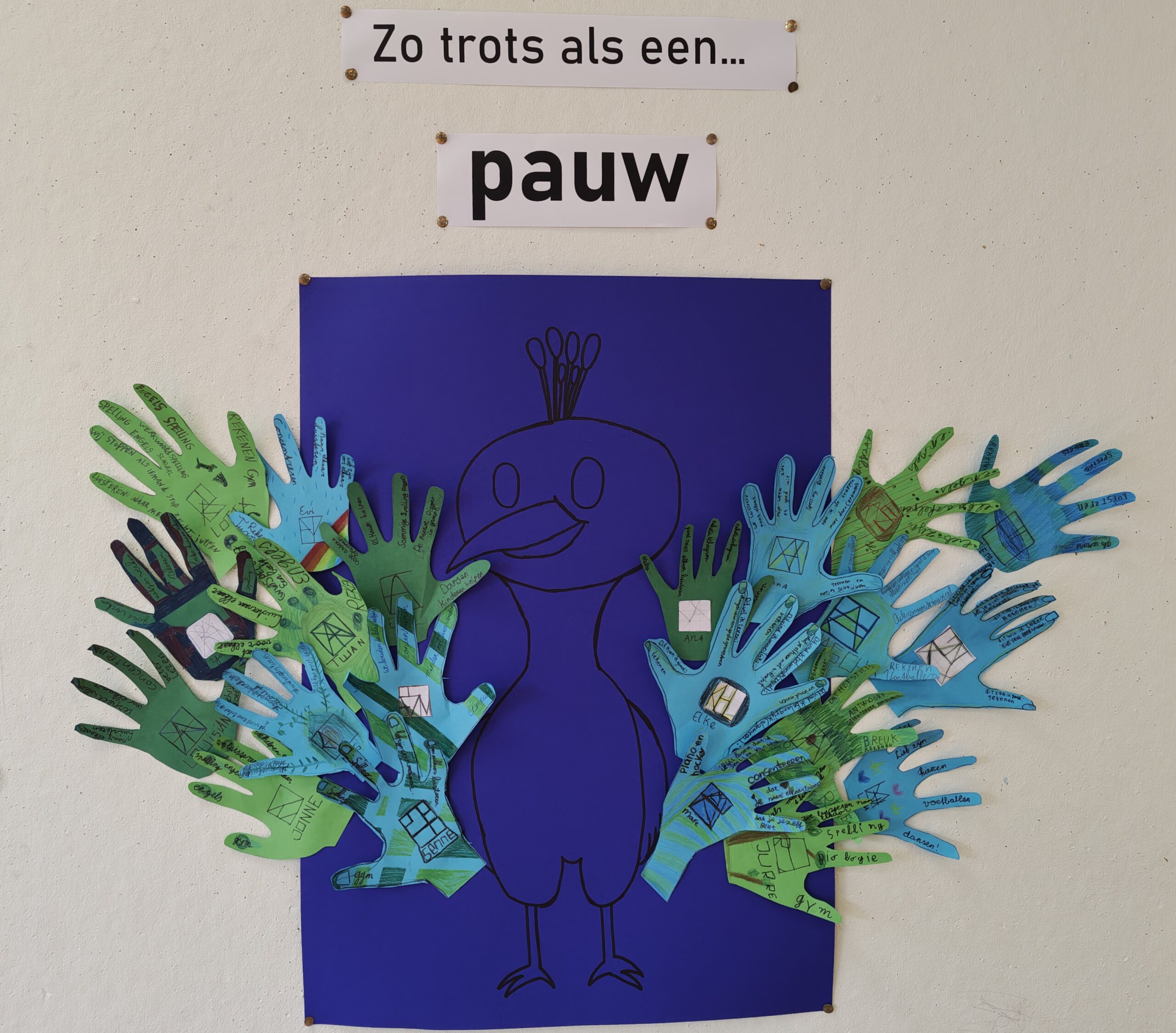 Zo trots als een pauw